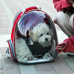 waterproof travel shoulder backpackversatile travel backpackunisex travel backpacktravel daypack backpacktravel backpack with shoulder strapsmall shoulder backpack for travelshoulder travel backpackshoulder sling travel backpackportable travel backpackportable hiking backpackportable backpack for travelmulti-purpose travel backpacklightweight travel backpackfoldable travel backpackeasy carry travel backpackdurable shoulder travel backpackcompact travel backpackcarry on travel backpackanti-theft travel backp