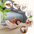Flapping Cat Toys