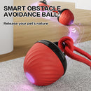 Cat Teasing Ball Self-Hi Relieving Stuffy Cat Toy