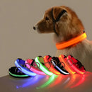 LED Dog Collar – USB Rechargeable, Waterproof & Night Safety Light