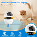 PawGlow 3-in-1 Cat Toy – Chase, Pounce & Play