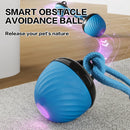 Cat Teasing Ball Self-Hi Relieving Stuffy Cat Toy
